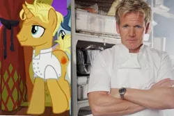 Size: 1542x1028 | Tagged: comparison, derpibooru import, edit, edited screencap, gordon ramsay, gourmand ramsay, human, irl, irl human, photo, ponified, safe, screencap, spice up your life