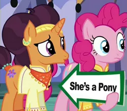 Size: 941x823 | Tagged: captain obvious, caption arrow, derpibooru import, edit, edited screencap, exploitable meme, frown, meme, :o, obvious, pinkie pie, pinkie pie's sign, safe, saffron masala, screencap, spice up your life, wide eyes, you don't say