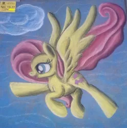 Size: 1024x1031 | Tagged: artist:felinefluff, chalk, derpibooru import, fluttershy, safe, solo, traditional art