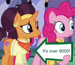 Size: 545x472 | Tagged: derpibooru import, edit, edited screencap, exploitable meme, it's over 9000, meme, over 9000, pinkie pie, pinkie pie's sign, safe, saffron masala, screencap, spice up your life