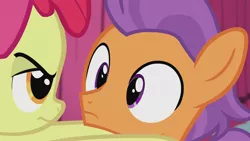 Size: 1920x1080 | Tagged: safe, derpibooru import, screencap, apple bloom, tender taps, earth pony, pony, on your marks, animation error, colt, eye contact, male, out of context, solo