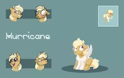 Size: 3537x2235 | Tagged: safe, artist:vindhov, derpibooru import, oc, oc:hurricane, unofficial characters only, pegasus, pony, blank flank, colt, male, offspring, parent:pipsqueak, parent:scootaloo, parents:scootasqueak, simple background, solo, teal background