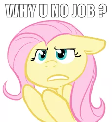 Size: 505x550 | Tagged: angry, artist needed, assertive, assertive fluttershy, caption, derpibooru import, flutter brutter, fluttershy, frustrated, get a job, meme, safe, y u no