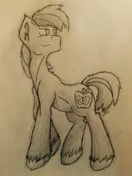 Size: 2448x3264 | Tagged: safe, artist:toothpastethy, derpibooru import, big macintosh, earth pony, pony, cutie mark, ear fluff, full body, grin, handsome, looking up, male, negative space, shading, sketch, smiling, solo, stallion, traditional art