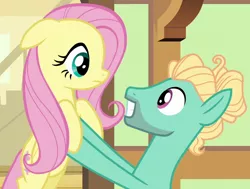 Size: 904x684 | Tagged: safe, derpibooru import, screencap, fluttershy, zephyr breeze, pony, flutter brutter, brother and sister, holding a pony, siblings, squee, teeth