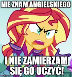 Size: 365x390 | Tagged: safe, derpibooru import, edit, edited screencap, screencap, sunset shimmer, equestria girls, friendship games, angry, caption, exploitable meme, image macro, meme, polish, sunset is not willing to learn