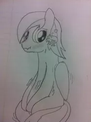 Size: 1936x2592 | Tagged: safe, artist:mraxelrod149, derpibooru import, oc, oc:firebolt, unofficial characters only, pegasus, pony, spider, blushing, lined paper, male, monochrome, nervous, nose wrinkle, pencil drawing, traditional art