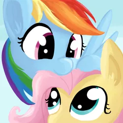 Size: 1008x1008 | Tagged: safe, artist:tjpones, derpibooru import, fluttershy, rainbow dash, bust, cute, female, flutterdash, lesbian, nom, nuzzling, portrait, shipping, smiling