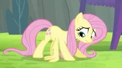 Size: 765x427 | Tagged: safe, derpibooru import, screencap, fluttershy, pony, rainbow falls, season 4, push ups, solo
