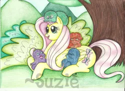 Size: 2338x1700 | Tagged: safe, artist:suzie-chan, derpibooru import, fluttershy, bushwoolie, pegasus, pony, female, g1, g1 to g4, g4, generation leap, mare