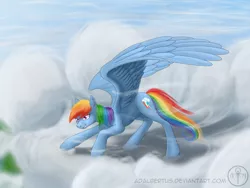 Size: 1600x1200 | Tagged: artist:adalbertus, cloud, derpibooru import, grin, rainbow dash, safe, smiling, smirk, solo, spread wings, wind