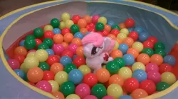 Size: 2592x1456 | Tagged: artist needed, backstage, ball pit, b.u.c.k., b.u.c.k. 2016, derpibooru import, irl, not a ball pit, nurse redheart, photo, plushie, safe