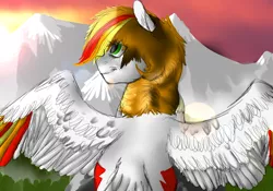 Size: 1000x700 | Tagged: safe, artist:bravefleet, derpibooru import, oc, oc:brave fleet, unofficial characters only, pegasus, pony, glare, high up, looking at something, majestic, mountain, rear view, scenery, sky, smiling, solo, spread wings, stare, sun, sunrise, wings