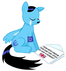 Size: 844x900 | Tagged: suggestive, artist:curtsibling, derpibooru import, pegasus, pony, brexit, brexit drama, crying, curtsibling strikes again, european union, european union drama, nazi, op started shit, politics, pony hitler, sitting, solo, swastika, text, vulgar, wtf