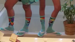 Size: 1277x718 | Tagged: bathroom, bathtub, clothes, derpibooru import, ethan and hila, ethan klein, feet, h3h3, h3h3productions, hila klein, human, irl, irl human, merchandise, mirror, phone, photo, potted plant, rainbow dash, safe, sandals, socks, youtube, youtube link