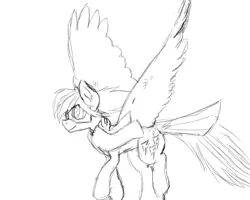 Size: 800x640 | Tagged: safe, artist:bravefleet, derpibooru import, oc, oc:brave fleet, unofficial characters only, pegasus, pony, clothes, flying, goggles, monochrome, scarf, sketch, solo, tail feathers, takeoff, wings