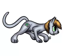 Size: 1400x1050 | Tagged: artist:frecklesfanatic, cat, catified, derpibooru import, fallout equestria, freckles, grin, oc, oc:littlepip, safe, simple background, smiling, sneaking, solo, species swap, unofficial characters only, white background