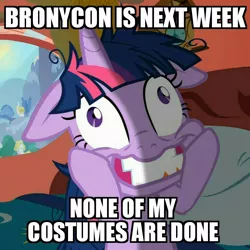 Size: 768x768 | Tagged: bronycon, derpibooru import, going crazy, image macro, meme, safe, solo, twilight snapple, twilight sparkle