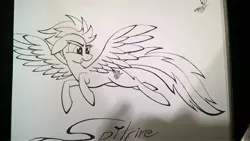 Size: 4208x2368 | Tagged: safe, artist:marewile, derpibooru import, spitfire, monochrome, signature, sketch, solo, traditional art