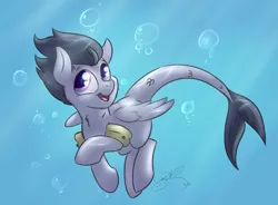 Size: 2853x2103 | Tagged: artist:jorobro, bubble, commission, derpibooru import, floaty, hippocampus, merpony, rumble, safe, scales, solo, species swap, swimming, tail, underwater, water wings