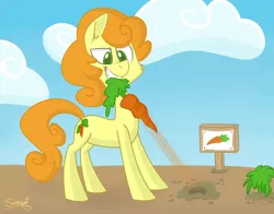 Size: 3000x2350 | Tagged: safe, artist:flourret, derpibooru import, carrot top, golden harvest, earth pony, pony, carrot, cheek fluff, cloud, determined, ear fluff, female, food, mare, mouth hold, outdoors, signature, sky, solo, standing