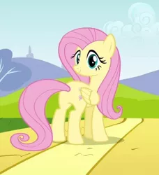 Size: 396x434 | Tagged: safe, derpibooru import, screencap, fluttershy, pony, hurricane fluttershy, cropped, female, mare, plot