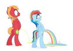 Size: 4000x2809 | Tagged: suggestive, artist:zutheskunk, derpibooru import, big macintosh, rainbow dash, pony, absurd resolution, ahegao, big backintosh, big macintosh's yoke, bipedal, blushing, confused, floppy ears, frown, horse collar, open mouth, peegasm, pissing, pissing together, plot, promingent female, rainbow, rainbow pee, relief, simple background, smiling, toilet humor, tongue out, unshorn fetlocks, urine, vector, wat, white background, wide eyes