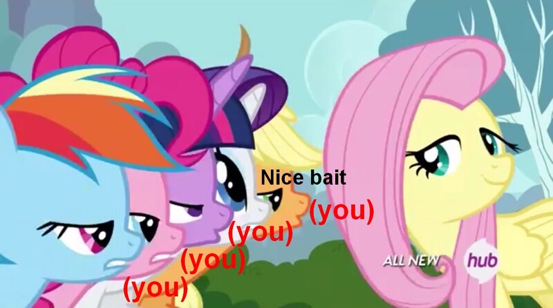 Size: 1280x714 | Tagged: safe, derpibooru import, applejack, fluttershy, pinkie pie, rainbow dash, rarity, twilight sparkle, twilight sparkle (alicorn), alicorn, pony, (you), 4chan, image macro, mane six, meme, metaphor