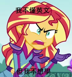 Size: 365x390 | Tagged: safe, derpibooru import, edit, edited screencap, screencap, sunset shimmer, equestria girls, friendship games, caption, chinese text, exploitable meme, image macro, meme, sunset is not willing to learn