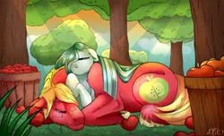 Size: 1600x971 | Tagged: safe, artist:dragonfoxgirl, derpibooru import, big macintosh, marble pie, earth pony, pony, cute, macabetes, male, marblebetes, marblemac, shipping, size difference, sleeping, stallion, straight