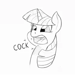 Size: 1200x1200 | Tagged: artist:trickydick, derpibooru import, dialogue, monochrome, open mouth, sketch, solo, suggestive, twilight sparkle, vulgar