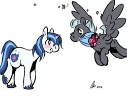 Size: 500x375 | Tagged: safe, artist:rwl, derpibooru import, shining armor, thunderlane, pegasus, pony, unicorn, blushing, bouquet, crack shipping, flower, flower in mouth, flying, gay, infidelity, infidelity armor, looking at each other, male, mouth hold, raised leg, shininglane, shipping, simple background, smiling, spread wings, stallion, white background