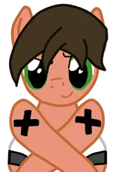 Size: 339x495 | Tagged: 1000 hours in ms paint, artist:superstaredge96, clothes, cm punk, cross, crossed hooves, derpibooru import, meme, ms paint, oc, oc:superstar, parody, safe, solo, straight edge, t-shirt, unofficial characters only, wrestling, wwe