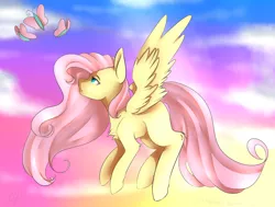 Size: 1024x775 | Tagged: artist:clariehart, butterfly, derpibooru import, fluttershy, flying, missing cutie mark, safe, solo