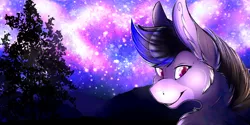 Size: 2000x1000 | Tagged: safe, artist:sneechee, derpibooru import, oc, oc:tara, unofficial characters only, donkey, solo, wallpaper
