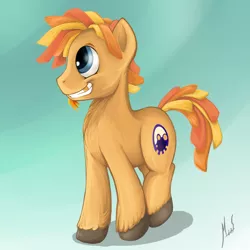 Size: 1024x1024 | Tagged: safe, artist:sea-maas, derpibooru import, oc, oc:sea-maas, unofficial characters only, earth pony, pony, gradient background, male, smiling, solo, stallion