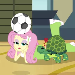 Size: 600x600 | Tagged: safe, derpibooru import, screencap, fluttershy, turtle, equestria girls, rainbow rocks, shake your tail, boots, cropped, football, hat, high heel boots, party hat