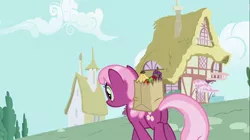 Size: 1100x618 | Tagged: safe, derpibooru import, screencap, cheerilee, pony, secret of my excess, bag, female, flowerbutt, groceries, mare, plot