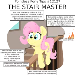 Size: 3142x3173 | Tagged: artist:jittery-the-dragon, chest fluff, cute, dead source, derpibooru import, fluttershy, grimderp, pointless pony tips, prone, pun, safe, solo, stairmaster, stairs