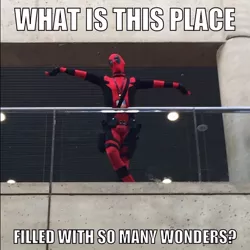 Size: 640x640 | Tagged: artist:rj_para, barely pony related, bronycon, clothes, cosplay, costume, deadpool, derpibooru import, human, image macro, irl, irl human, marvel, meme, photo, safe, so many wonders