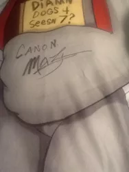 Size: 720x960 | Tagged: autograph, body pillow, canon, derpibooru import, diamond dog, i believe in m.a. larson, m.a. larson, safe, signature