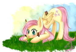 Size: 1024x702 | Tagged: safe, artist:raincatme, derpibooru import, fluttershy, butterfly, ladybug, pegasus, pony, blushing, female, folded wings, grass, looking at something, looking down, mare, outdoors, solo, wings