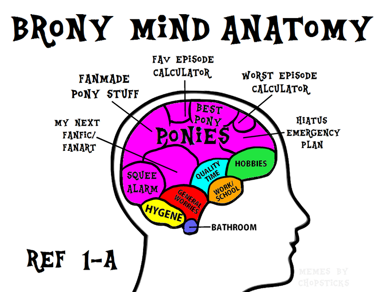 Size: 2492x1876 | Tagged: anatomy, brain, brony, derpibooru import, fandom, fandom overload, funny, meme, misspelling, safe