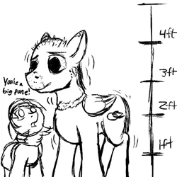 Size: 600x600 | Tagged: safe, artist:thebathwaterhero, derpibooru import, oc, oc:sunny days, unofficial characters only, pegasus, pony, series:entrapment, adult, bloodshot eyes, chart, cutie mark, female, filly, height, height difference, male, monochrome, rash, scale, size chart, size comparison, size difference, skin, stallion, text, tunic