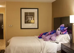 Size: 2695x1943 | Tagged: artist:qtpony, bed, book, derpibooru import, hotel room, irl, life size, photo, plushie, safe, solo, twilight sparkle