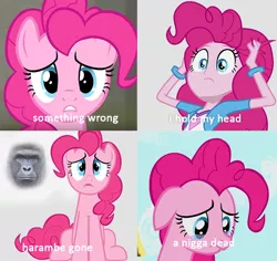 Size: 632x597 | Tagged: safe, derpibooru import, edit, edited screencap, screencap, pinkie pie, gorilla, equestria girls, exploitable meme, floppy ears, frown, gritted teeth, harambe, image macro, kanye west, meme, parody, sad, sitting, text, vulgar, wide eyes