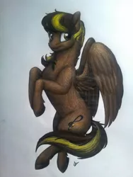 Size: 1224x1632 | Tagged: safe, artist:lupiarts, derpibooru import, oc, oc:meze diapason, unofficial characters only, pegasus, pony, commission, flying, traditional art