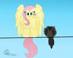 Size: 1000x800 | Tagged: artist:shellythewolf1, behaving like a bird, bird, chest fluff, derpibooru import, floppy ears, fluttershy, glare, impossibly large chest fluff, looking at you, nose wrinkle, puffed chest, ruffled feathers, safe, solo, spread wings, wires
