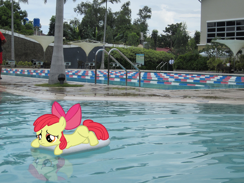 Size: 4000x3000 | Tagged: safe, artist:mtfc1029, derpibooru import, apple bloom, pony, irl, photo, ponies in real life, sad, swimming pool, vector