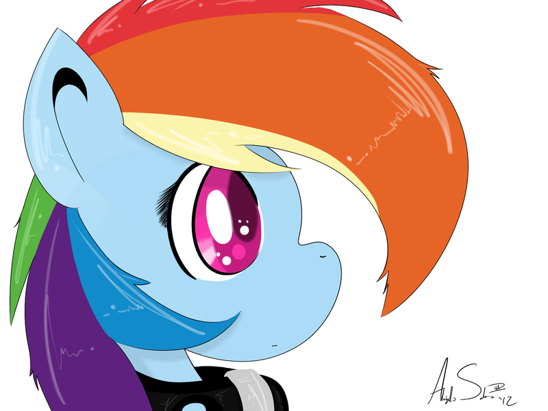 Size: 1600x1200 | Tagged: artist:alexsalinasiii, collar, derpibooru import, digital art, portrait, rainbow dash, safe, solo